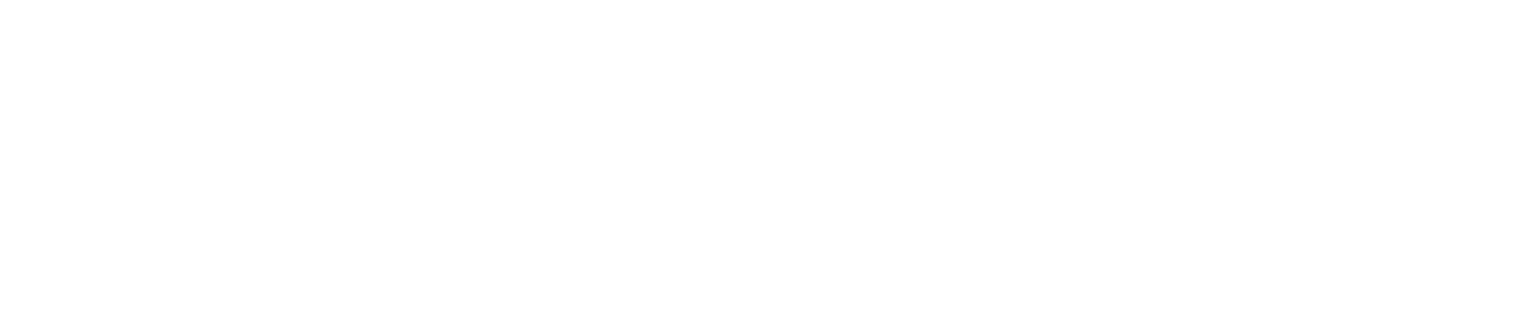 Logo DCLand Footer